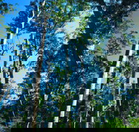 The Four Aces - Stayed