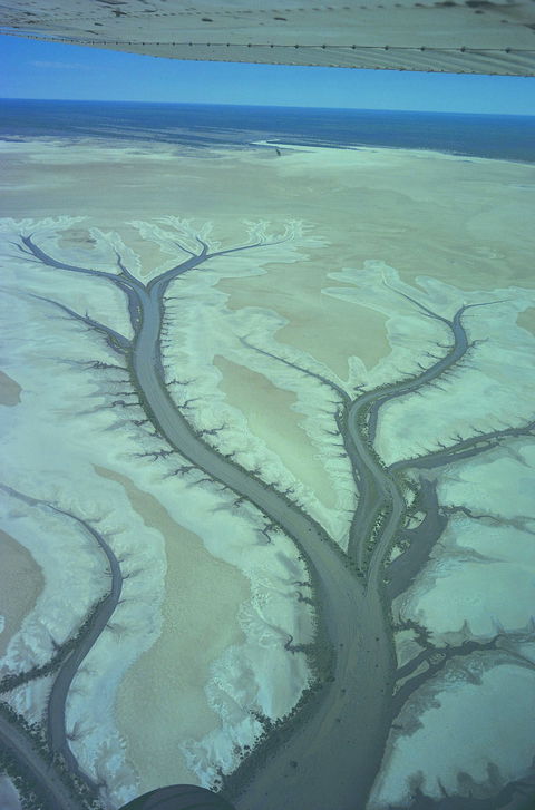 Tidal Flats - Stayed 0