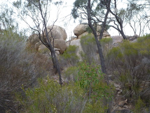 Tolmer Rocks - Mount Boothby Conservation Park - Stayed 0