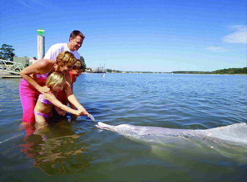 Tourist Drive- Cooloola Coast Fraser Island - Stays Accommodation 2