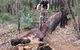 Turner Hill Mountain Bike Trail, Murray - thumb 0