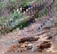 Turner Hill Mountain Bike Trail Murray - Stayed