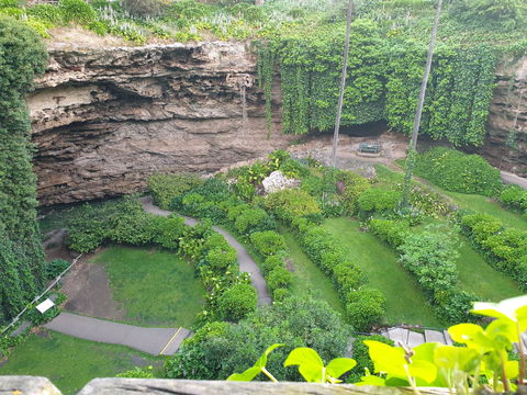 Umpherston Possum Tours - Stayed 2