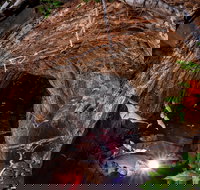 Undara Experience - Stayed