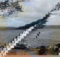 Walpole-Nornalup Inlet - Stayed