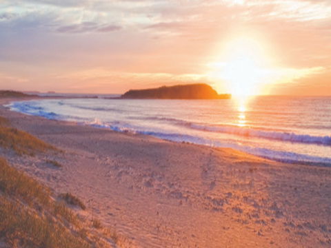 Warilla Beach: Shellharbour - Stayed 0