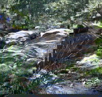 Washpools waterhole - Stayed