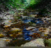 Willi Willi National Park - Stayed