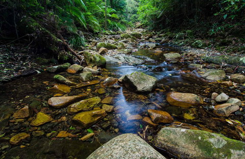 Willi Willi National Park - Stayed 0