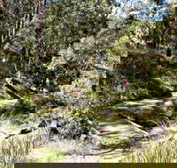 Wollomombi Walking Track - Stayed