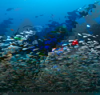 Aarhus Dive Site - Stayed