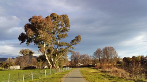 Adelong - Stays Accommodation 2