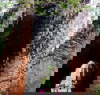 Ancient Empire Walk Valley of the Giants - Stayed