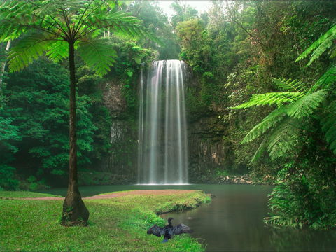 Atherton Tablelands - Stayed 0