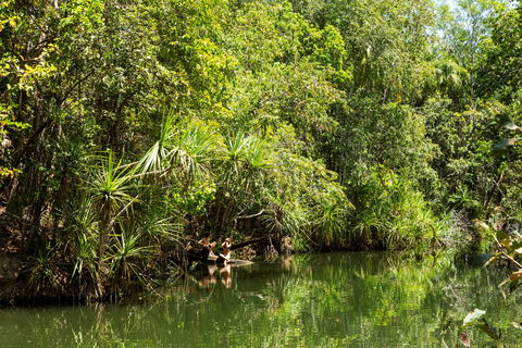 Berry Springs Nature Park - Stayed 0
