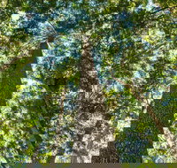 Big Sky National Parks - Stayed