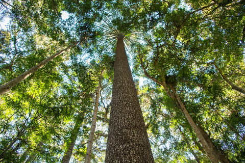 Big Sky National Parks - Stayed 0