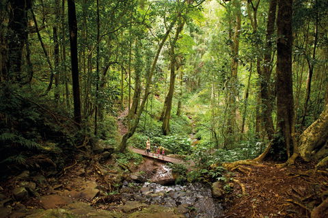 Big Sky National Parks - Stayed 1