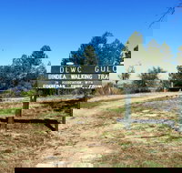 Bindea Walking Track - Stayed