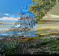 Black Oaks Picnic Area - Stayed