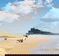 Bongil Bongil National Park - Stays Accommodation