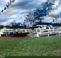 Bridge Creek War Memorial Bridge - Stayed