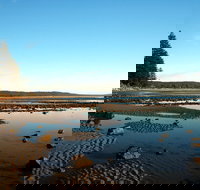 Brooms Head - Stayed