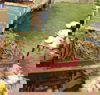 Burnie Farmers Market - Stayed