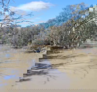 Bush Tucker Trail - Stayed