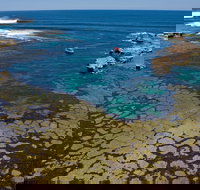 Cathedral Rocks Viewing Platform - Stayed