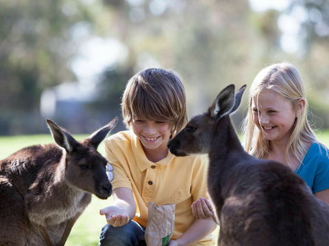Cleland Wildlife Park - Stayed 1