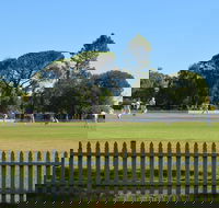 Cootamundra Cricketing Exploration - Stayed