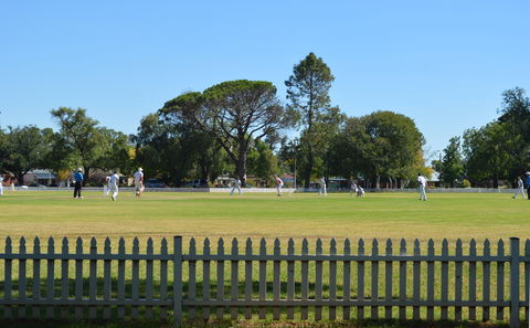 Cootamundra Cricketing Exploration - Stayed 0