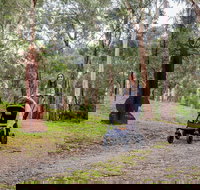 Currawong Bush Park - Stayed