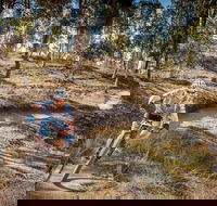 Cycle Mogo State Forest - Stayed