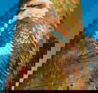 Deniliquin Water Tower Mural - Stayed