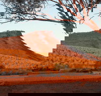 Dutchman Stern Conservation Park Trail - Stayed