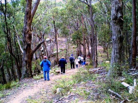 Greater Blue Mountains Heritage Trail - Stayed 2