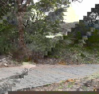 Great North Walk  Ku-ring-gai Chase National Park - Stayed