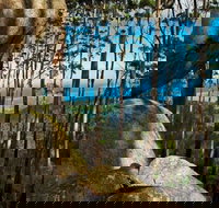 Gulaga Mountain Walk - Stayed