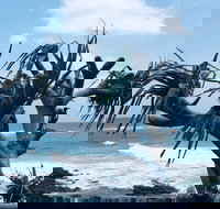 Hastings Point Beach - Stayed