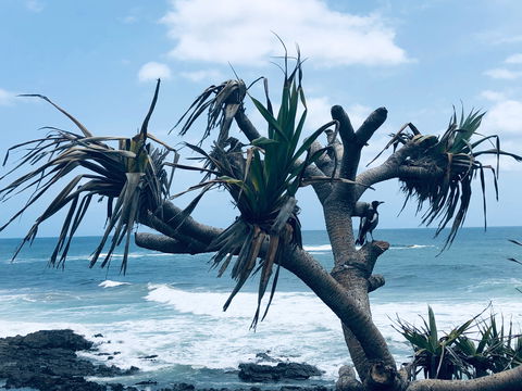 Hastings Point Beach - Stayed 0