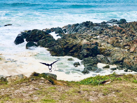Hastings Point Beach - Stayed 2