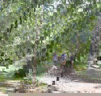 Hay Free Push Bikes - Stayed