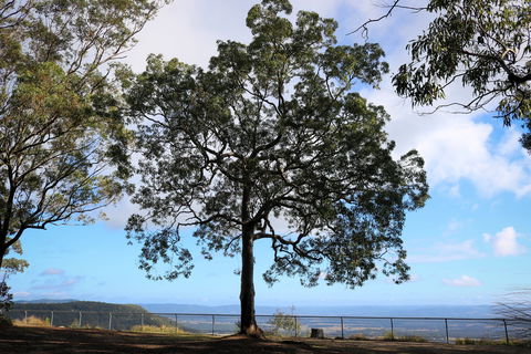 Heaton State Forest - Watagan Mountains - Stays Accommodation 2