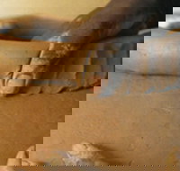 Hermannsburg Potters - Stayed