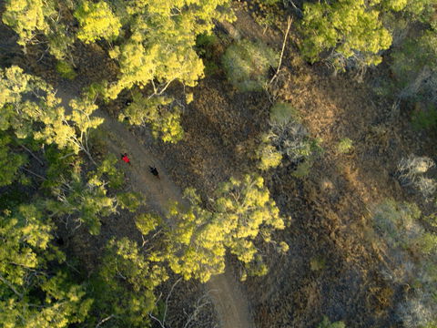 Hillview Drive Reserve - Stayed 2