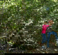 Iluka Rainforest Walking Track - Stayed