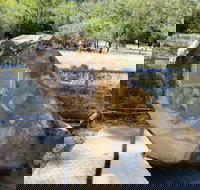 John Oxley Monument - Stayed