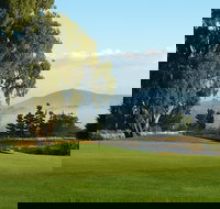 Kangaroo Tours at Gisborne Golf Club Inc - Stayed